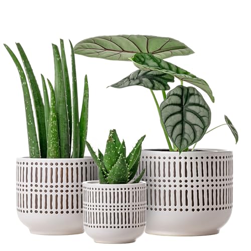 Docrin 3-Pack Ceramic Plant pots Set - 6.5"+5.3"+4" Dual-Tone Flower Pots with Drainage Holes, Modern Indoor Outdoor Planters for Succulents/Herbs/Large Plants, Home Office (Brownish Black & White) - color: A-brownish Black White
