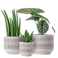 Docrin 3-Pack Ceramic Plant pots Set - 6.5"+5.3"+4" Dual-Tone Flower Pots with Drainage Holes, Modern Indoor Outdoor Planters for Succulents/Herbs/Large Plants, Home Office (Brownish Black & White) - color: A-brownish Black White