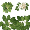 JJUNW 20Pcs Artificial Roes Leavesn, Artificial Green Leaves, Greenery for Centerpieces, Fake Rose Flower Leaves for DIY Bouquets, Wedding Party Birthday Proposal Decorations