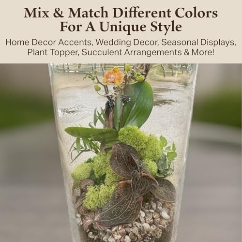 Preserved Reindeer Moss - Moss for Crafts, Home Decor, Art, Design & DIY Projects - Non-Toxic - USA Made (Spring Green, Standard Box) - color: Spring Green, size: Box
