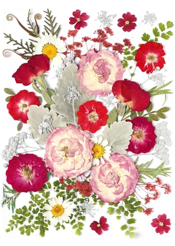 48 Pcs Mix Natural Dried Pressed Flowers for Cake Decorating, Real Dry Flower for Resin Jewelry Making, DIY Art Crafts (Rose) - color: Rose