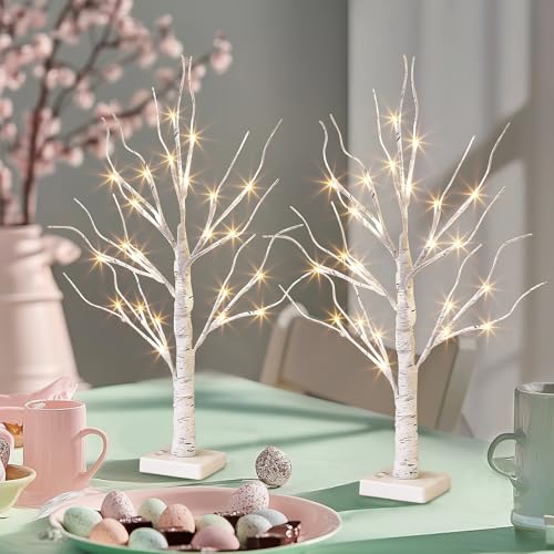 PEIDUO Home Decor, 2FT Birch Tree with LED Lights, Warm White Light up Tree Lamp, Artificial Trees for Home Table Inside, Battery Powered, Timer (2PK) - style: 2PK Birch Tree
