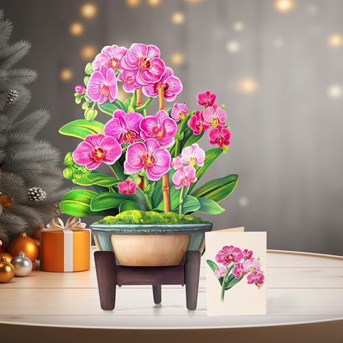 Airpark Pop Up Flower Bouquet Card for Women, 3D Floral Greeting Card with Envelope and Note, Birthday Thank You Thinking of You Get Well Gift for Mom Friend Wife Teacher, Orchid - style: Orchids