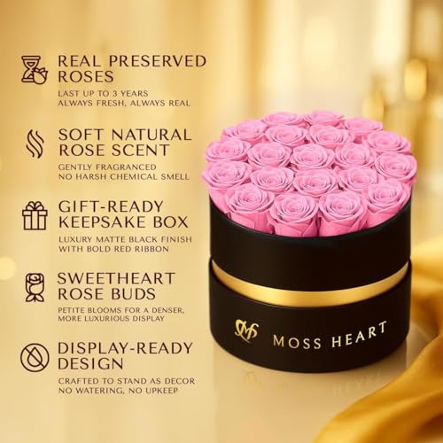 20 Mini Preserved Roses, Round Luxury Gift Box, Real Forever Roses Last 1+ Year, Premium Romantic Gift for Women, Wife, Girlfriend, Mother’s Day, Birthday, Anniversary, Valentine’s Day - color: Pink, size: 20 Roses