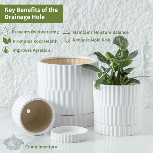 HASENSE Plant Pots - 8+6+4.6 Inch White Vertical Textured Ceramic Planters Set of 3 with Drainage Hole, Decorative Flower Pots for Indoor Plants, Herbs, Succulents, Home Office Desktop Garden Decor - color: Blue (Ribbed)