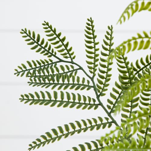 Nearly Natural 5ft Jacaranda Artificial Tree - Lifelike Green Leaves, Flexible Branches, Premium Craftsmanship, Includes Nursery Planter - Ideal for Home Decor in Living Rooms, Bedrooms, Entryways