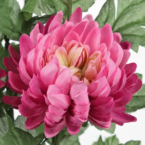 Hollyone 5Pcs Fake Mums Flowers Pink Artificial Chrysanthemum Flowers Silk 22.8inch Long Stem Floral Arrangements Bouquets Faux Spider Mum Flower Pincushion Flower Bush Spring Home Decor - color: Pink