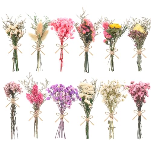 12 Pack Mini Dried Flowers for Vase Multicolor Wedding Various Mini Bouquet Dried Small Wildflowers Natural Flowers Bulk for Crafts DIY Decor
