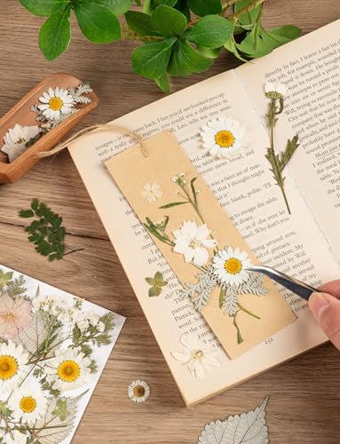 100pcs White and Light Yellow Dried Pressed Flowers Bulk, Natural Fall Pressed Dried Flowers with Tweezer for DIY Crafts Resin Mold Candles Cake Bridal Scrapbooking Supplies - size: White Flower