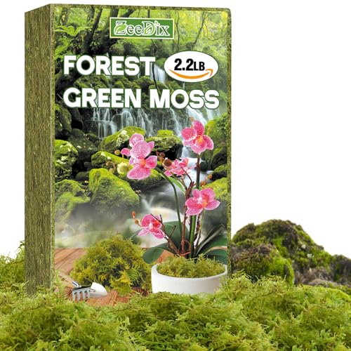 ZeeDix 2.2 lbs Forest Moss for Plants Indoor - Dried Orchid Moss for Repotting, Natural Green Sphagnum Moss for Potted Plants Carnivorous Monstera Succulents Crafts Reptile Habitat (Expands to 40 qt) - color: 2.2LB