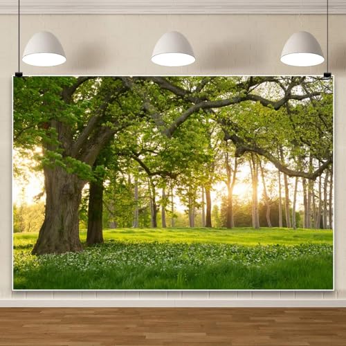 Leowefowa 8x6ft Spring Backdrop Rural Forest Trees Backdrops for Photography Blooming Flowers Green Grassland Nature Vinyl Photo Background Kids Adults Outdoor Travel Portraits Studio Props - size: 8x6ft