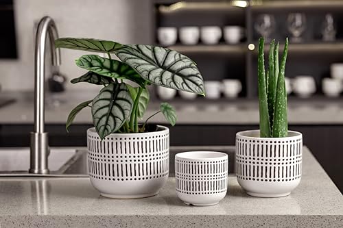 Docrin 3-Pack Ceramic Plant pots Set - 6.5"+5.3"+4" Dual-Tone Flower Pots with Drainage Holes, Modern Indoor Outdoor Planters for Succulents/Herbs/Large Plants, Home Office (Brownish Black & White) - color: A-brownish Black White