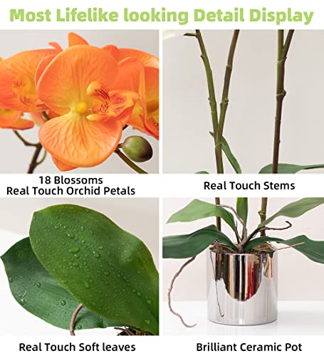 CXGS Artificial Orchid Flower Plant Real Touch Faux Orchids in Ceramic Vase Orange 19.7'' Fake Phalaenopsis Flower Arrangement Centerpiece Home Indoor Decor - color: Orange- Silver