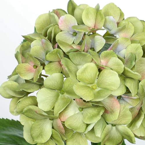 Hollyone Green Hydrangea Artificial Flowers Plant Potted 19.7" Faux Silk Hydrangea Flower Tree Arrangements for Home Bathroom Office Table Centerpiece Shelf Decorations - color: Green, size: 3 Head Hydrangea