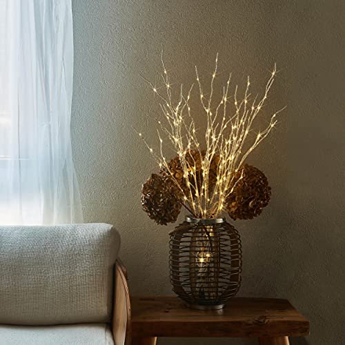 Hairui Lighted Birch Branches Plug in with Timer 30IN 150 LED Fairy Lights, White Willow Branch Lights for Christmas Fireplace Room Vase Decoration Indoor Outdoor Use (Vase Excluded) - style: White Birch+Warm White 1set