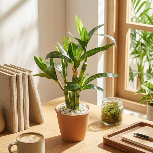 2 Pack Artificial Lucky Bamboo Plant 16 x 4 Inch Potted Fake Plant Decoration Green for Farmhouse Home Office Kitchen Counter Top Indoor Decor