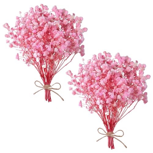 Dried Baby's Breath Bouquet, Pure Pink 6"-7.8" Portable Mini Gypsophila Flowers, 2000+ Natural Preserved Flowers for Wedding Home Decor DIY Crafts Vase Filler Wreath Card Making - color: Pink