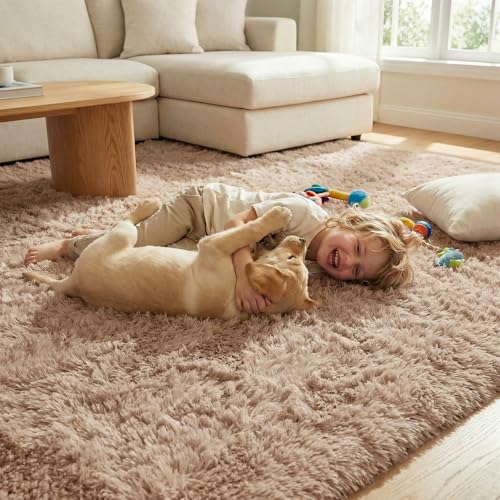 DweIke Fluffy Small Area Rug for Bedroom Living Room, 3x5 Feet Soft Plush Shaggy Beige Rugs for Girls Boys Kids, Non-Slip and Machine Washable Carpet for Nursery Dorm Home Decor - color: Beige, size: 3 Ft X 5 Ft