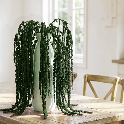 Suncalla 12 Pcs Dark Green Spring Natural Dried Amaranthus Hanging Flowers Amaranthus Artificial Flowers for Wedding Arch Bouquet Floral Garland Wall Home Decoration (23 Inch) - color: Spring Green