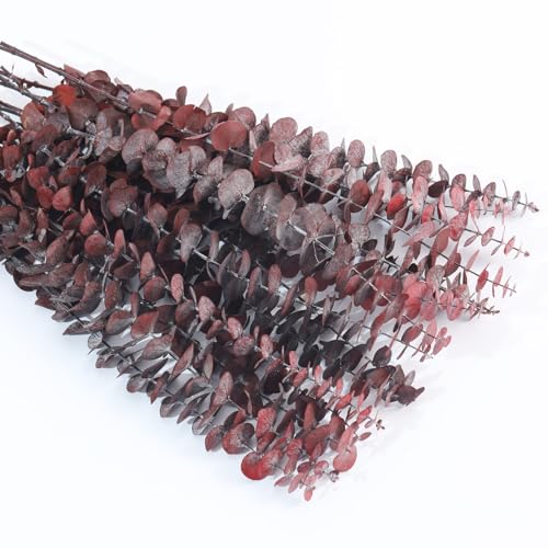 Tavkite 16 Pcs Dried Eucalyptus Stems, 17'' Natural Fresh Eucalyptus Leaves Branches Hanging for Shower, Preserved Real Red Plant Live Greenery for Home SPA Wall Bathroom Wedding Party Vase Decor - color: Red