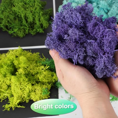 uxcell Preserved Reindeer Moss, 14oz Fake Moss for Crafts Artificial Dried Moss for Decoration Terrariums Potted Plants, Light Green/Dark Green/Green/Chartreuse - color: Light Green/Dark Green/Green/Chartreuse, size: 14oz