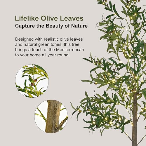 6FT Lighted Olive Tree 200 LED Artificial Fairy Lights Tree with Olive Fruit Faux Plant Tree for Decor Inside and Outside Home Patio Wedding Festival Christmas Decoration Warm White - color: Green