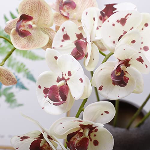 HinyoCo 5 Pcs Artificial Orchid Flowers,Artificial Phalaenopsis Flowers 32 Inch Stem Plants for Home Wedding Decoration (White with Spots) - color: White With Spots