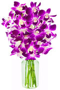 KaBloom - Bouquet of Purple Orchids from Thailand with Vase - Fresh Flowers for Birthday, Valentine's & Mother's Day - color: Purple, style: With Vase