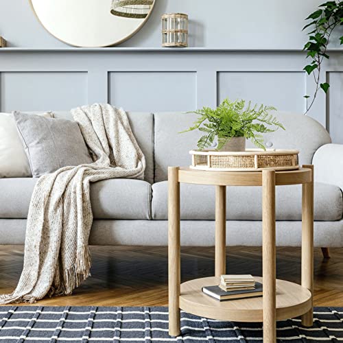 Hollyone Small Fake Plant Potted Plants Artificial Decor Silk Ferns Plant Faux Plants in Pots for Home Living Room Bedroom Desk Bathroom Window Shelf Farmhouse Decoration - color: 1 Pack - Style 1
