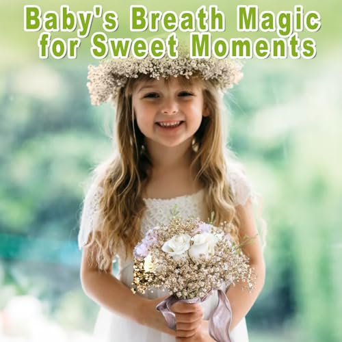 2500+ Mini Dried Babys Breath Flowers, 75 Pcs Ivory White Baby Breath Flowers, Natural Dried Gypsophila Bouquets for Rustic Wedding Decor, DIY Crafts, Gift Wrapping, Vase Arrangement