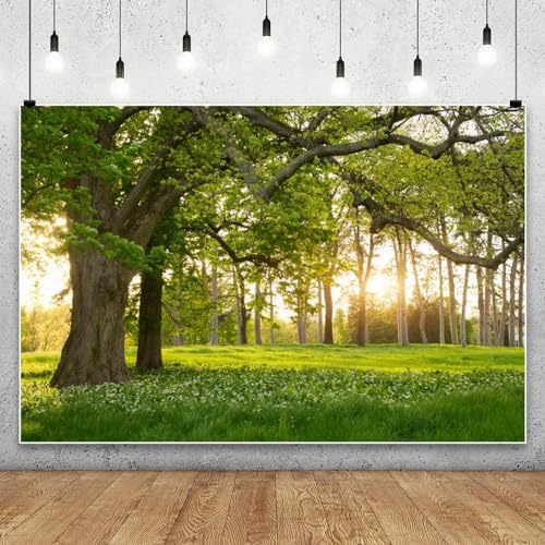 Leowefowa 5x3ft Spring Backdrop Rural Forest Trees Backdrops for Photography Blooming Flowers Green Grassland Nature Vinyl Photo Background Kids Adults Outdoor Travel Portraits Studio Props - size: 5x3ft