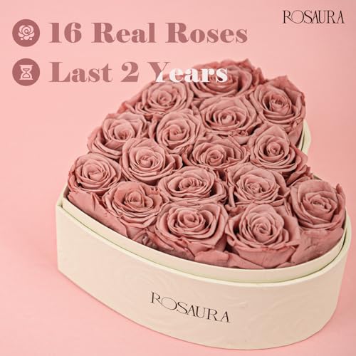 Rosaura Heart-Shaped Preserved Roses Gift Box - Real Forever Flowers for Christmas, Birthday, Valentine's & Mother's Day (Cappuccino, 16 roses) - color: Cappuccino, size: 16 roses