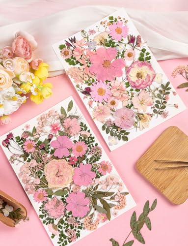80pcs Pink Pressed Flowers Bulk, Romantic Dried Flower Leaves, Natural Pressed Dried Flowers with Tweezer for DIY Crafts Resin Mold Candles Cake Bridal Scrapbooking Supplies - size: Pink 80pcs