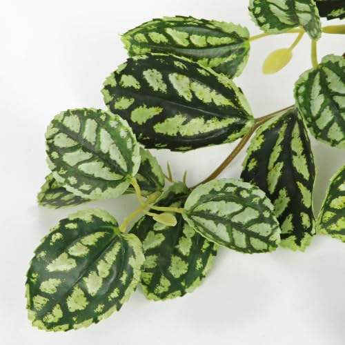 Briful Artificial Potted Plant Indoor, 19.6" Faux Watermelon Peperomia Trailing Plant in Black Pot, Realistic Fake Plants with Cascading Green Leaves for Shelf Bathroom Office Desk Kitchen Home Decor - color: Dark Green Grid