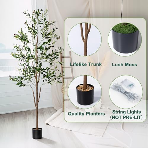 Olive Tree, 6FT Tall Faux Olive Tree with Lights Moss and Planter, Olive Trees Artificial Indoor with Realistic Wood Trunk and Lifelike Fruits, Fake Olive Tree for Home Office Living Room Decor