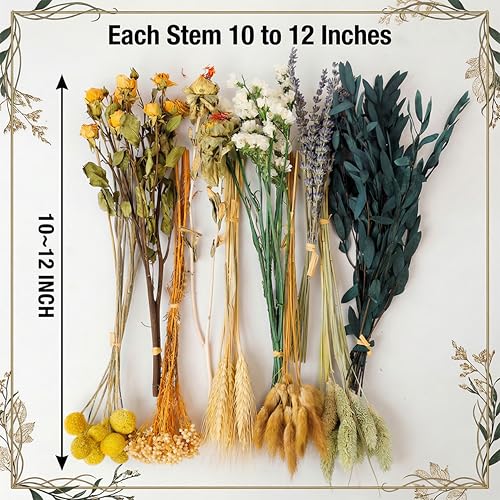 LUXEEASE Vintage Dried Flowers Bouquet 128 Stems, 10 Kinds Natural Preserved Flowers (Lavender, Eucalyptus, Bunny Tails) 10-12 Inches Long, Rustic Boho Home Wedding Centerpiece Décor - color: Golden & Green