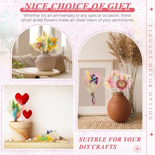 Layhit 12 Pcs Boho Dried Flower Bouquet Mini Wedding Handmade Dry Flowers Decor for Vase Crafts DIY Photo Boutonniere for Men Floral Plant for Bridesmaid Gift Birthday Decor(Lively) - style: Lively
