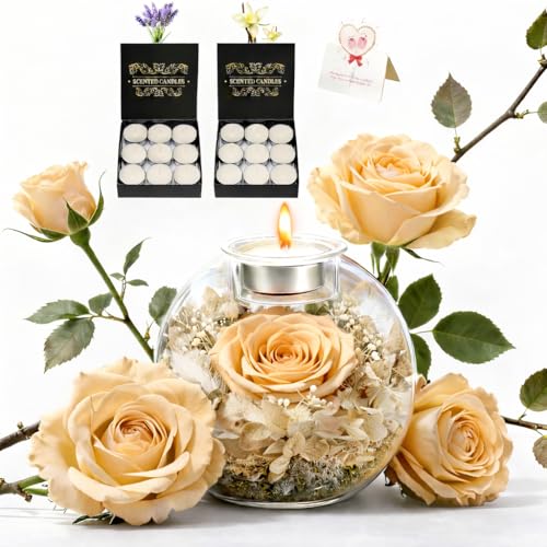 Preserved Real Rose in Glass with Scented Candles for Mom Her Wife Girlfriend Grandma Birthday Anniversary Romantic - color: Zenith Champagne