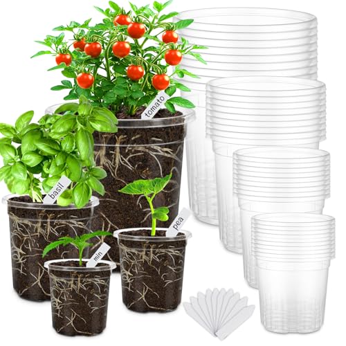 36 Packs 6.5/5/4/3.5 Inch Reinforced Clear Nursery Pots with Drainage Hole, Variety Pack High Transparency Plastic Seedling Plant Pot with 20 Labels - size: 3.5/4/5/6.5 in-36p