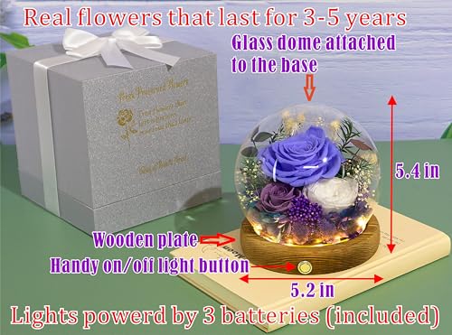 Valley of Rain & Forest Long-Lasting Real Flowers With Delivery | Unique Floral Gift For You to Send Love for All Occasions, Aesthetic Home Decor (Forever Preserved Violet Rose Arrangement) - color: Violet Rose, Purple rose, White Austin Rose