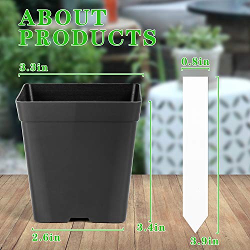 June Fox Square Nursery Pots 3.3 Inches Flexible Plastic Seedling Pots Square Pots for Plants, Succulent, Flower, Pack of 60, with 60 PCS Plant Labels - color: 60 Pcs