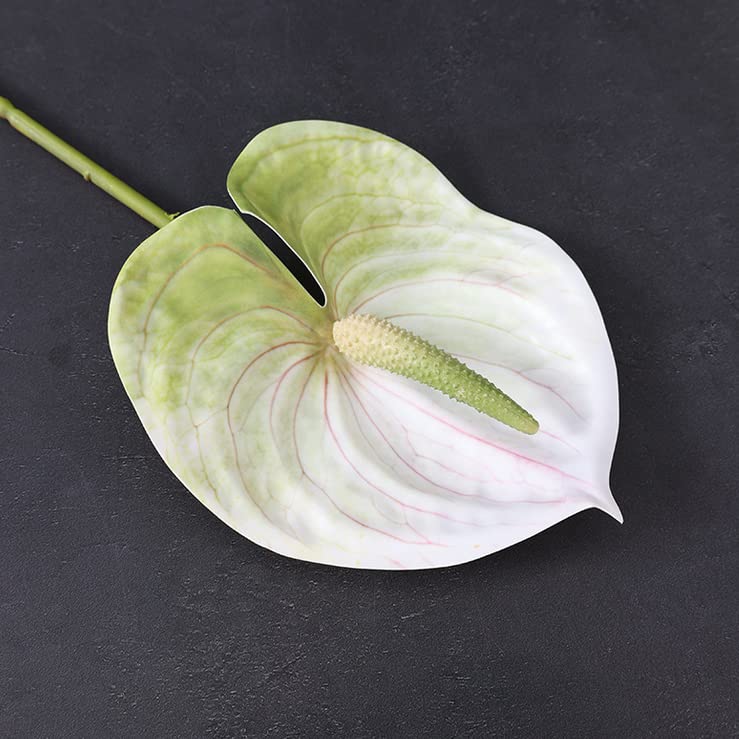 Rikyo 5 Pc 24inch/61cm Artificial Anthurium Lily Flowers Permanent for Home Decor Bouquet and Green Leaf for Bridal Wedding Festival Party,Store Decor Small Flower Bouquet Accessories (White) - color: White