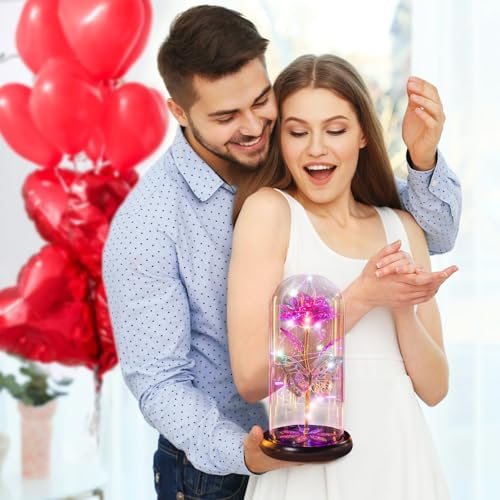 Mothers Day Flowers Gifts for Mom Women Birthday Gift, Galaxy Glass Rose Forever Eternal Crystal Flowers Rose in Glass Dome with Butterfly Mother's Day Roses Gifts for Mom Daughter Wife Grandma Pink - color: D Pink