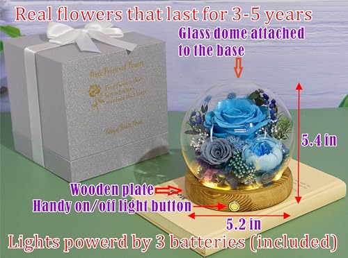 Valley of Rain & Forest Long-Lasting Real Flowers, Unique Floral Gift For you to send Love for All Occasions, for Indoor Decoration (Blue Rose, Grey & White-Blue Austin Roses) - color: Blue Rose, Grey Rose, White-Blue Austin Rose