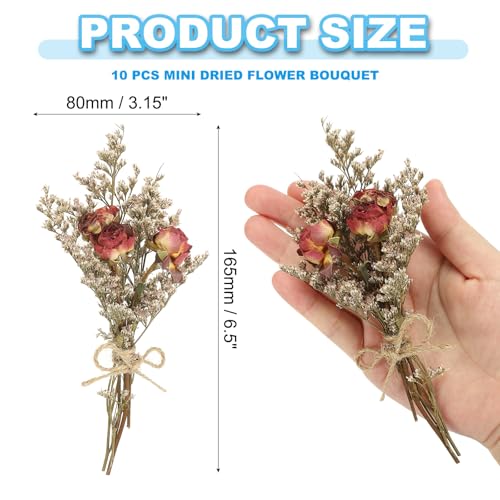 PATIKIL Mini Dried Flower Bouquet, 10 Pcs Rose Natural Wildflower with Stem Decor Baby's Breath Boho Floral Plant Flower for Crafts DIY Photo Props Gift Wedding Decor, Dark Red - color: Dark Red