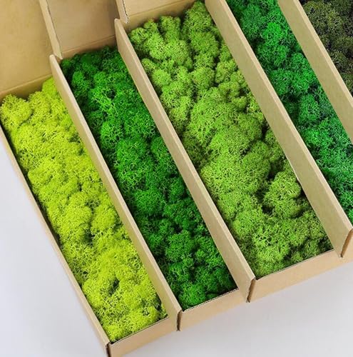 Preserved Reindeer Moss Natural Green DIY Kit Gardenning Art Wall Decor Florist Decor Easter Table Decor Wedding - color: Color Mix-Green-(01+02+03+04+06), size: 1 lb