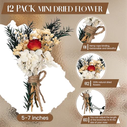 Layhit 12 Pcs Boho Dried Flower Bouquet Mini Wedding Handmade Dry Flowers Decor for Vase Crafts DIY Photo Boutonniere for Men Floral Plant for Bridesmaid Gift Birthday Decor(Colorful) - style: Colorful