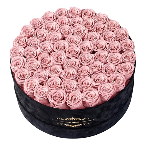 Gifts for Women – NATROSES 60 Preserved Roses in Luxury Black Velvet Box, Preserved Flowers for Delivery Gift for Her, Elegant Rose for Birthday, Mother’s Day, Christmas (Dusty Rose) - color: Dusty Rose, size: 60 Roses