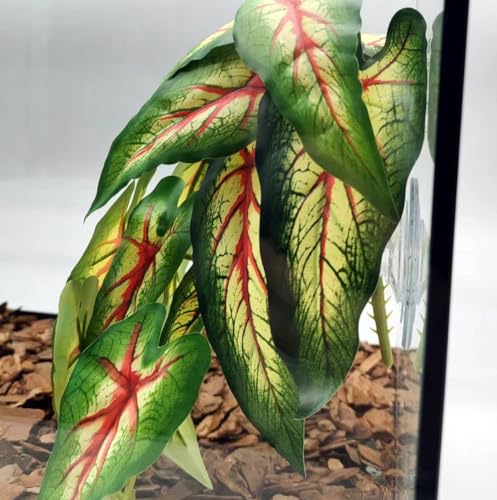 Reptile Plants for Terrarium, Amphibian Habitat Decor Artificial Hanging Plants with Suction Cup, Artificial Plants for Gecko Chameleon Snake Tortoise Tank Accessories. 2-Pack (Alocasia odora -A) - color: Alocasia Odora-a