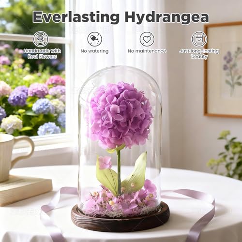 Forever Hydrangeas in Glass Dome,Forever Preserved Flowers Gifts Mothers Day Birthday for Grandma Women Mom Wife,Fresh Flowers for Delivery/Purple Hydrangea - color: Purple